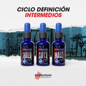 Ciclo Definición Intermedios