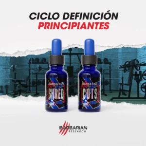 Ciclo Definición Principiantes